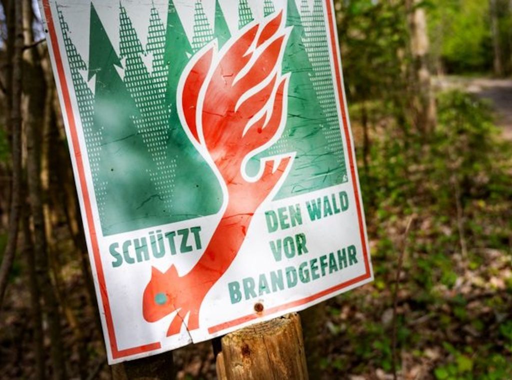 Bisher 68 Waldbrände im Land: Dietmar Woidke mahnt zur Vorsicht