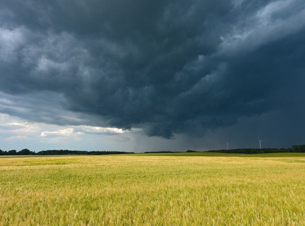 Der Deutsche Wetterdienst: Unwetterwarnung für Kreise in Brandenburg