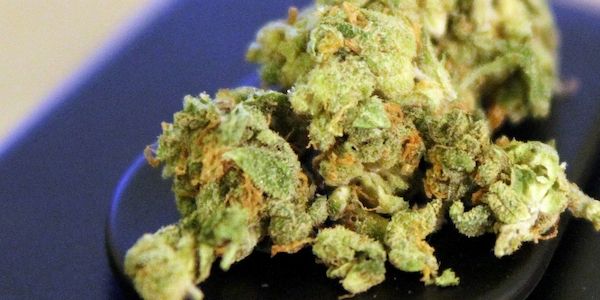 SPD und Union kritisieren boomendes Geschäft mit Cannabis auf Rezept