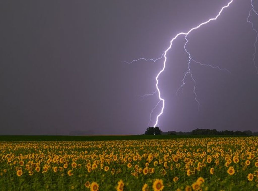 Große Schäden nach Unwetter zum Ferienbeginn in Brandenburg