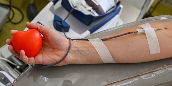 DRK bittet Berliner vor Urlaubsantritt um Blutspenden