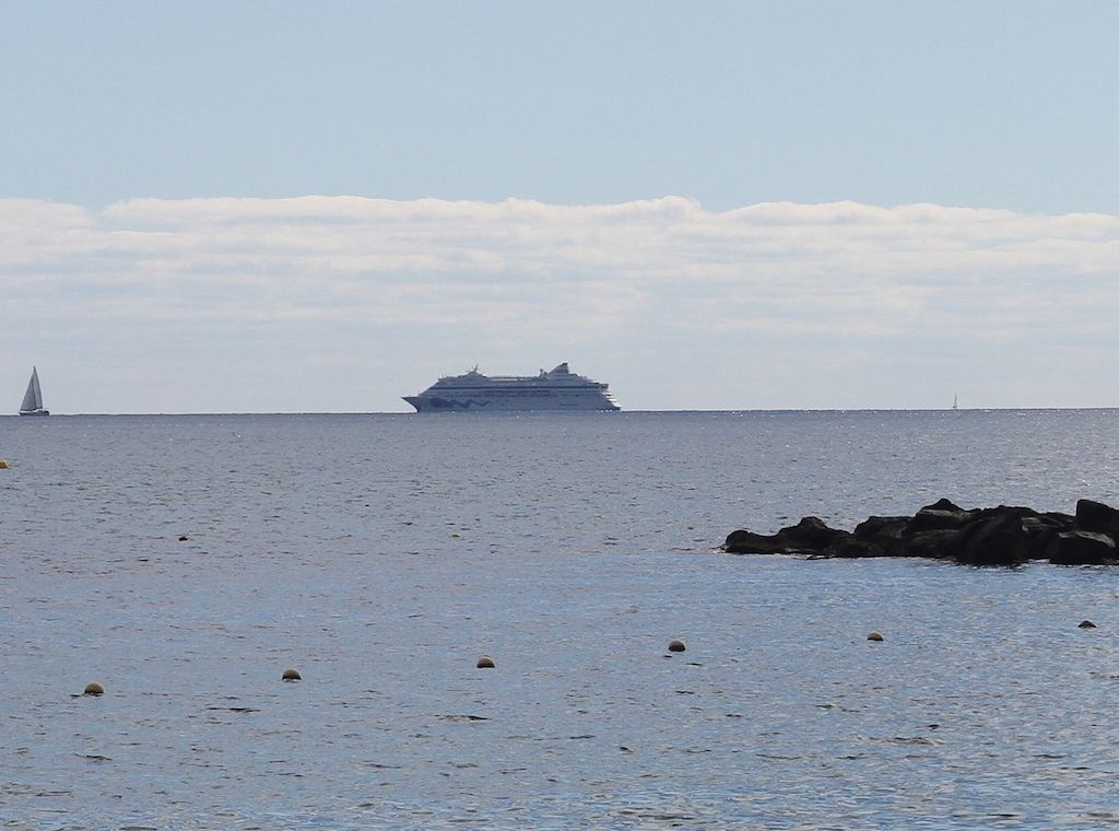 Naturschutzbund Nabu begrüßt staatliche Rettung der Meyer Werft