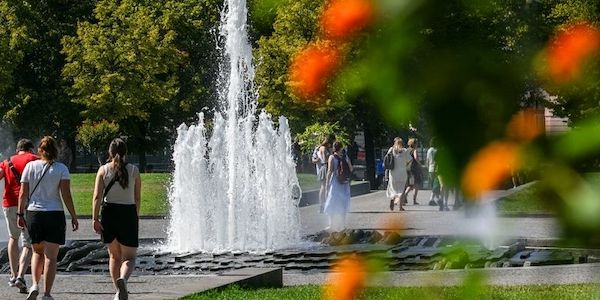 35,5 Grad - Cottbus heißester Ort in Deutschland