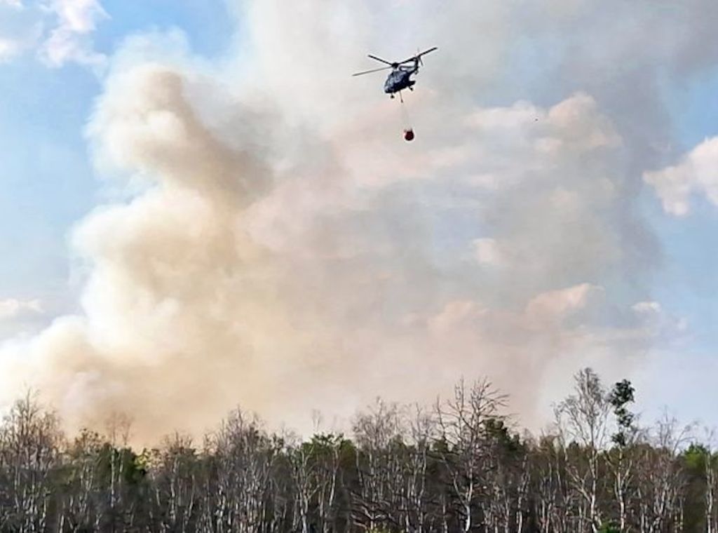 Waldbrand bei Jüterbog kurz vor dem Erlöschen