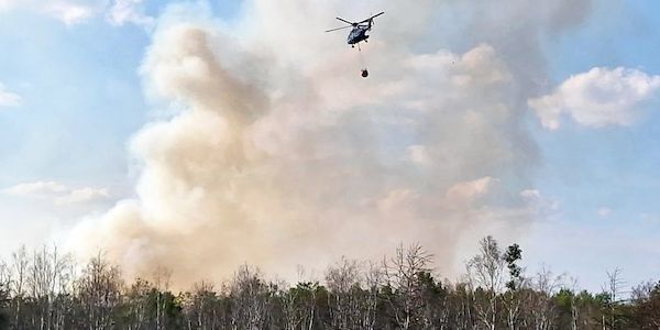 Waldbrand bei Jüterbog kurz vor dem Erlöschen