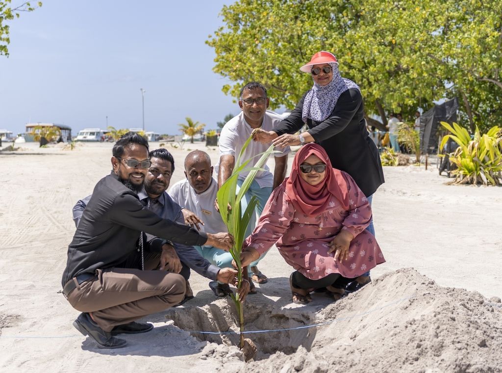 Das Grüne Wunder vom Nova Maldives