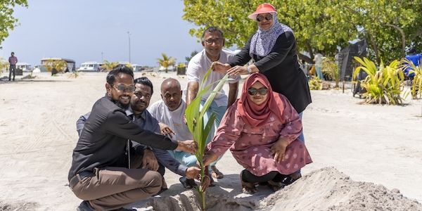 Das Grüne Wunder vom Nova Maldives