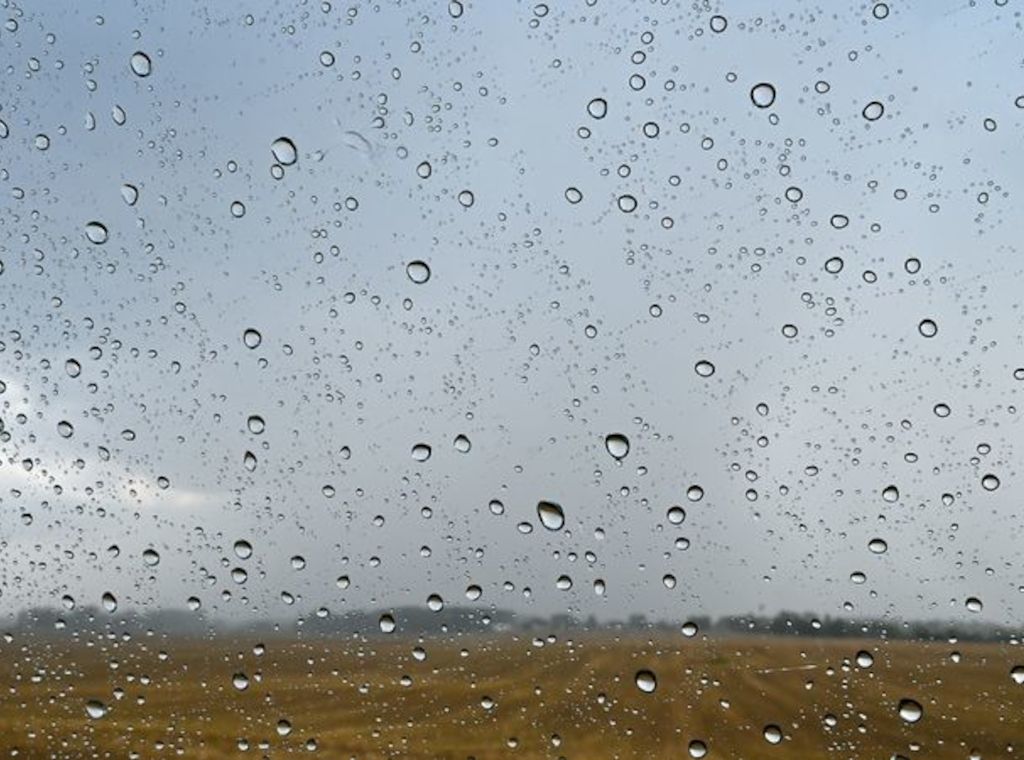 Regen und Wolken in Berlin und Brandenburg zum Wochenstart