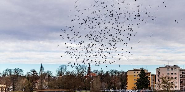 Probewohnen in Guben: Zwei Frauen sind geblieben