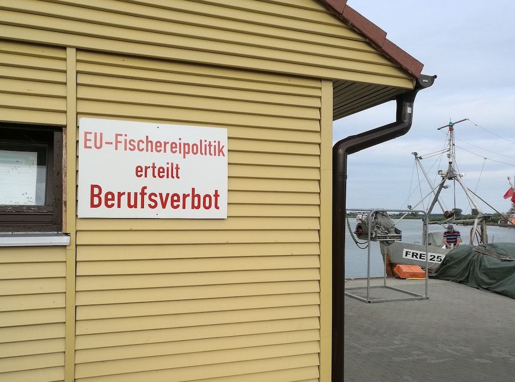 Özdemir will breitere Debatte über EU-Fischfangquoten