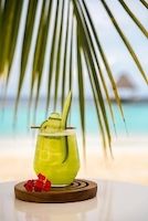 Im Traumresort Nova Maldives startet 2025 vegan und gesund Bild 2