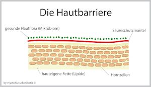 Myrto Naturkosmetik –  Do’s and Don’ts für eine starke Hautbarriere Bild 1