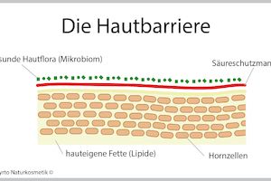 Myrto Naturkosmetik –  Do’s and Don’ts für eine starke Hautbarriere Bild 1