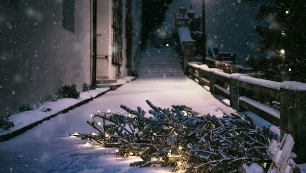 Deutsche lieben ihren geschmückten Weihnachtsbaum und möchten nicht auf ihn verzichten