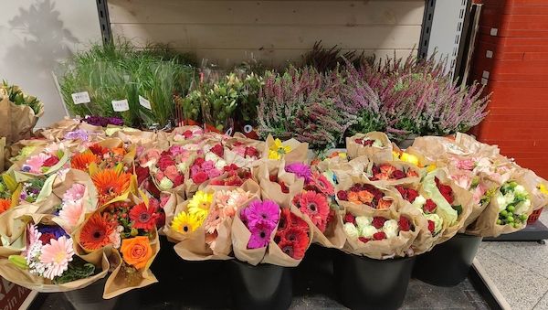 Preise für Schnittblumen und Pralinen stark gestiegen