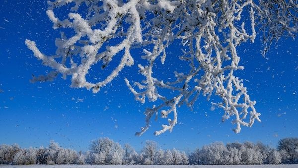 Minus 17,6 Grad im Osten Brandenburgs