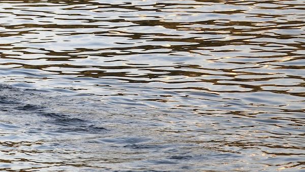 Deutsche Wirtschaft nutzt weniger Wasser