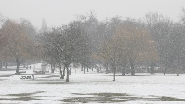 Winter erneut zu mild und zu trocken