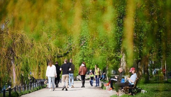 Sonnenschein und Pollenflug: Frühlingshafte Tage in Berlin