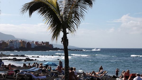 Sarah Connor verlangt Ende von Orca-Shows auf Teneriffa