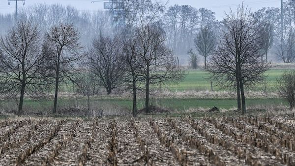 Das Wetter am Freitag in Berlin-Brandenburg