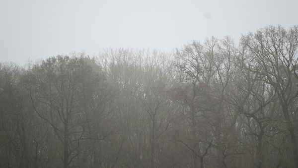 Wetterdienst: Glätte, Frost und Nebel in Brandenburg und Berlin