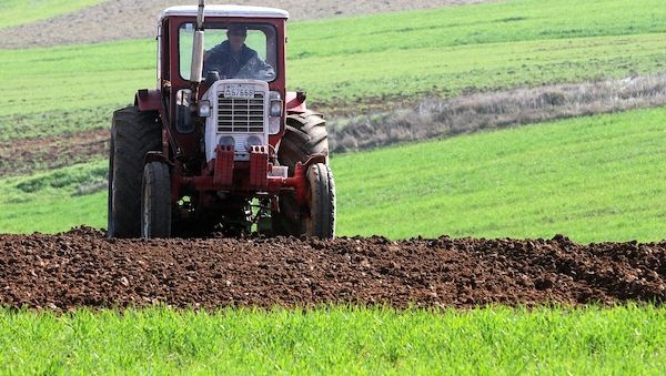 Erzeugerpreise in der Landwirtschaft steigen an