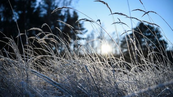 Sonne und Frost in Berlin und Brandenburg