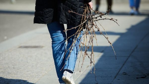 Frühling hält in Berlin und Brandenburg Einzug