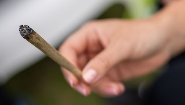 Deutlich weniger Cannabis-Straftaten in Berlin