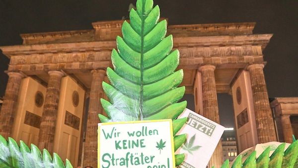 Bericht: Cannabis-Konsumenten tricksen Gesundheitssystem aus