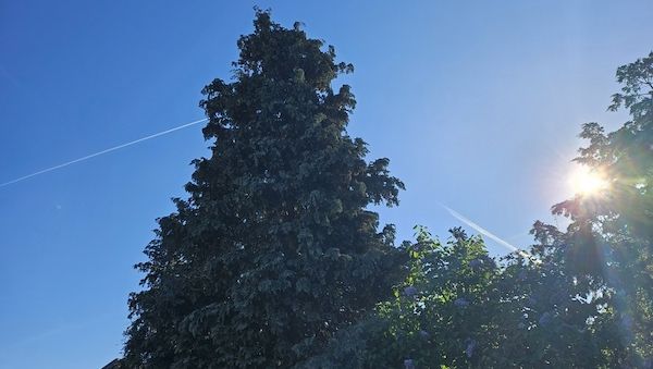 Wetterbericht für Schleswig-Holstein/Hamburg (28.04.2025)